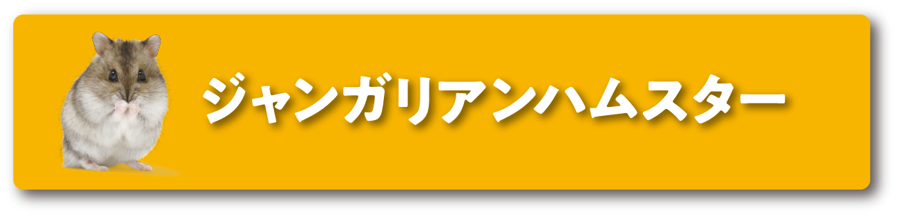 ジャンガリアンハムスター